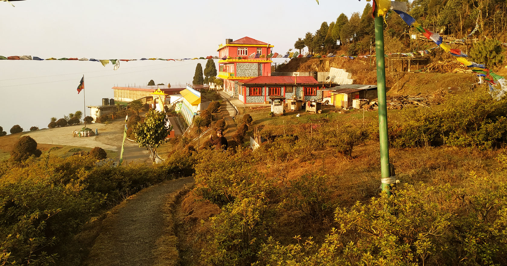 Chitre-Darjeeling.jpg